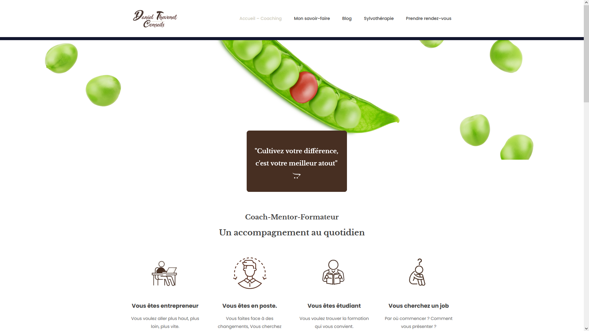 Capture du site 4