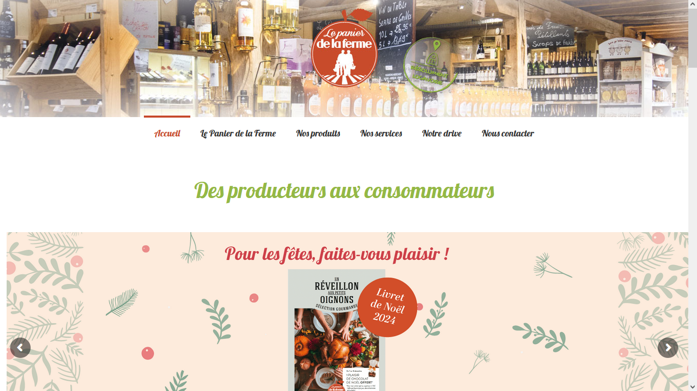 Capture du site 1